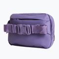 Waist bag The North Face Terra Lumbar 1 l grounded plum/endless 3