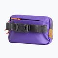 Waist bag The North Face Terra Lumbar 1 l utility brown/peak purple 3