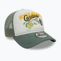 New Era Fruit Graphics Trucker baseball cap ST. St. Louis Cardinals green pastel