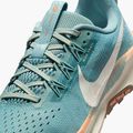Nike Pegasus Trail 5 women's running shoes cannon / soft pearl / mink brown 10