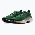 Men's running shoes Nike Pegasus Trail 5 GORE-TEX fir/bright crimson/clay green 7