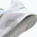 Women's training shoes Nike Flex Train white/photon dust/metallic silver 9