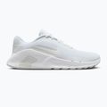 Men's training shoes Nike Flex Train white/photon dust/white 8