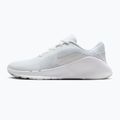 Men's training shoes Nike Flex Train white/photon dust/white 9