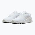 Men's training shoes Nike Flex Train white/photon dust/white 10