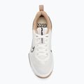 Men's training shoes Nike Air Max Alpha Trainer 6 sail/baroque brown/hemp/desert dust 5