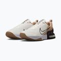 Men's training shoes Nike Air Max Alpha Trainer 6 sail/baroque brown/hemp/desert dust 10