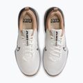 Men's training shoes Nike Air Max Alpha Trainer 6 sail/baroque brown/hemp/desert dust 12