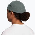 Winter hat Nike Terra Futura 365 Short-Cuff clay green 3