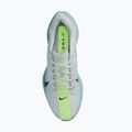 Men's running shoes Nike Pegasus Plus pure platinum/denim turquoise/seaweed 6