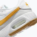 Men's shoes Nike Air Max SC white/photon dust/gold leaf 8