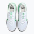 Men's training shoes Nike Air Max Alpha Trainer 6 white/glacier blue/green strike 5