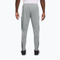 Men's trousers Nike Academy Dri-Fit light smoke grey/white/black/metallic gold 2