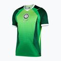 Men's football shirt Nike Nigeria 2026 Stadium Home pine green/electric green/white 7