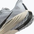 Men's running shoes Nike Pegasus Plus pure platinum/wolf grey/sail/anthracite 10