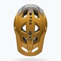 Bike helmet Fox Racing Speedframe Pro Backfade bronze 5