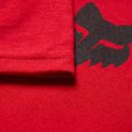 Children's T-shirt Fox Racing Absolute Jr timber red 5