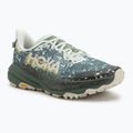 Men's running shoes HOKA Speedgoat 6 GTX sea flass/fern