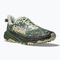 Men's running shoes HOKA Speedgoat 6 GTX sea flass/fern