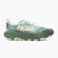 Men's running shoes HOKA Speedgoat 6 GTX sa glass/fern 2