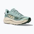 Men's running shoes HOKA Challenger 8 jade/truffle salt 8