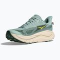 Men's running shoes HOKA Challenger 8 jade/truffle salt 12