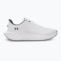 Men's running shoes Under Armour Ascend white/black/distant gray