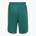 Men's training shorts Under Armour Rival LW Graphic rack green/black 6