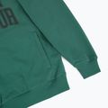 Men's sweatshirt Under Armour Rival LW Graphic Hoodie rack green/black 4
