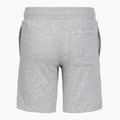 Children's shorts Under Armour Rival LW Shorts mod gray light heather/black 2