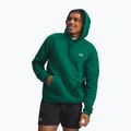 Men's sweatshirt Under Armour Rival Fleece Hoodie campus ivy/white