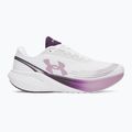 Women's running shoes Under Armour Velociti Sport white/purple echo/mauve pink
