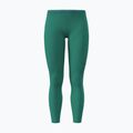 Women's training leggings Under Armour HeatGear Leggings geode green/team royal