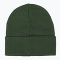 Winter hat New Balance Flying Logo green 2