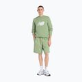 Men's T-shirt New Balance Graphic V Flying oregano 2