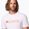 Men's T-shirt Columbia CSC Basic logo white/csc retro logo 5
