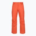 Men's ski trousers Columbia Bugaboo V zing 9
