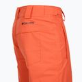 Men's ski trousers Columbia Bugaboo V zing 12