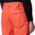 Men's ski trousers Columbia Bugaboo V zing 5