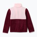 Men's sweatshirt Columbia Back Bowl II Full Zip rich wine/satin pink 2