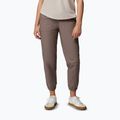 Men's trekking trousers Columbia ROC Ripstop Jogger iron