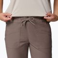 Men's trekking trousers Columbia ROC Ripstop Jogger iron 5