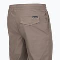 Men's trekking trousers Columbia ROC Ripstop Jogger iron 11
