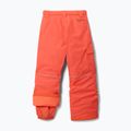 Ski trousers Columbia Bugaboo III zing 2