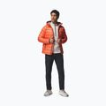 Men's down jacket Columbia Arctic Crest Down Hooded zing 6