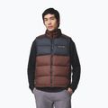 Men's gilet Columbia Pike Lake II tobacco/black