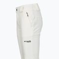 Women's ski trousers Columbia Roffee Ridge VI sea salt 11