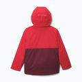 Children's ski jacket Columbia Alpine Action III Rich Wine melange/mountain red 2