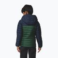 Children's jacket Columbia Powder Lite II Hooded rain forest/collegiate navy 3