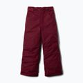 Children's ski trousers Columbia Starchaser Peak III rich wine 6